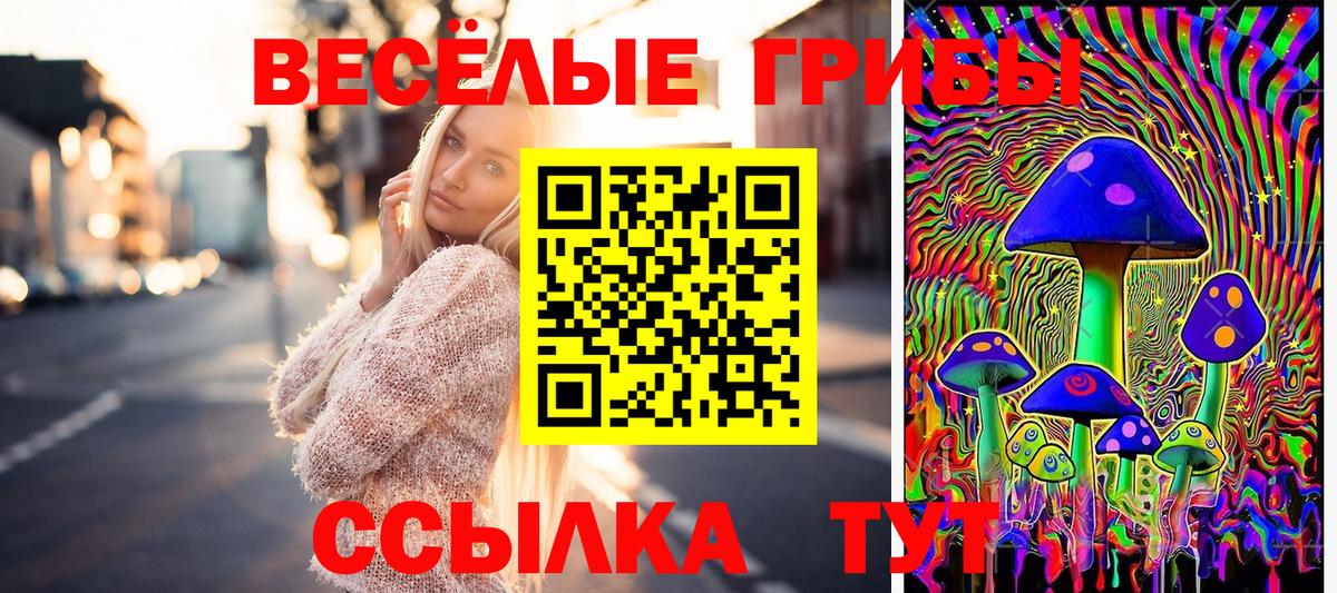 Псилоцибиновые грибы GOLDEN TEACHER  Галлюциногенные грибы прущие грибы  Вход с VPN  Химки 