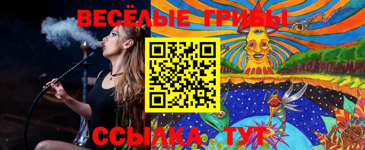 Галлюциногенные грибы прущие грибы Химки